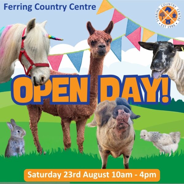 Open Day Family Ticket