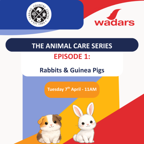 The Animal Care Series: Episode 1