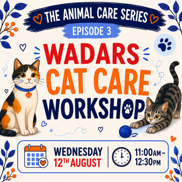 Wadars Cat Care Workshop